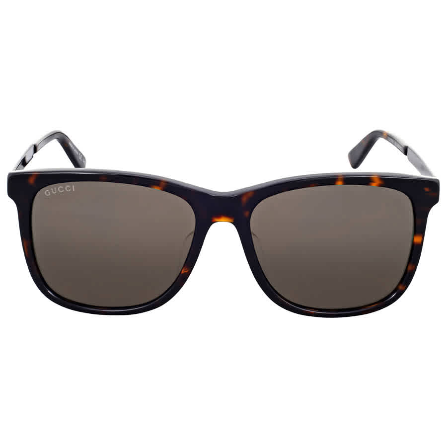 グッチ GUCCI SUNGLASS レディースサングラス GG0078SK ACETATE 004
