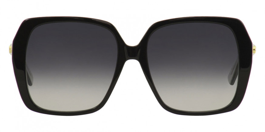 グッチ GUCCI SUNGLASS レディースサングラス GG0533SA ACETATE 005