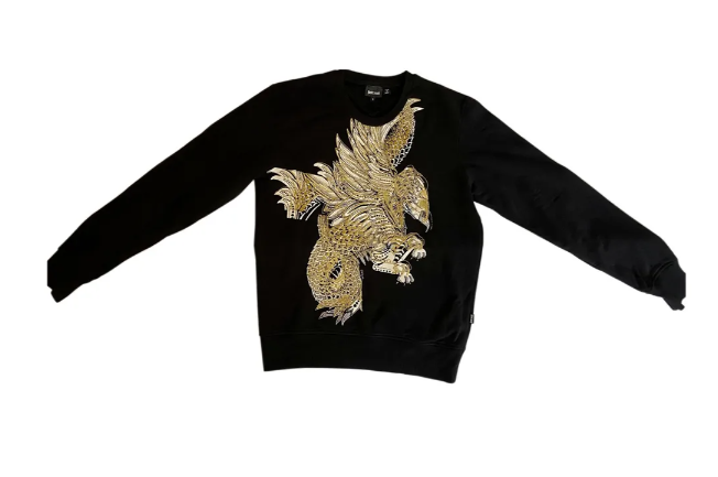 ジャストカヴァリ JUST CAVALLI メンズTシャツ S03GP0057 N25093 900