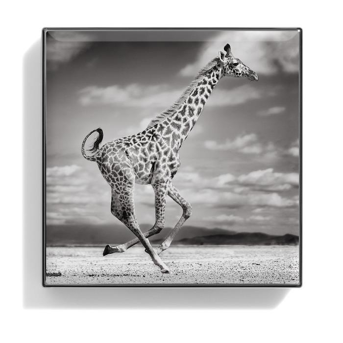 シャンテカイユ Chantecaille レディース ルミネッセント アイシェード # GIRAFFE (バーンニッシュ ブラウン) 656509172061