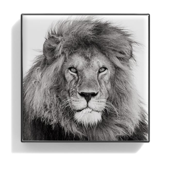 シャンテカイユ Chantecaille レディース ルミネッセント アイシェード # LION (ゴールデンコッパー) 656509172030