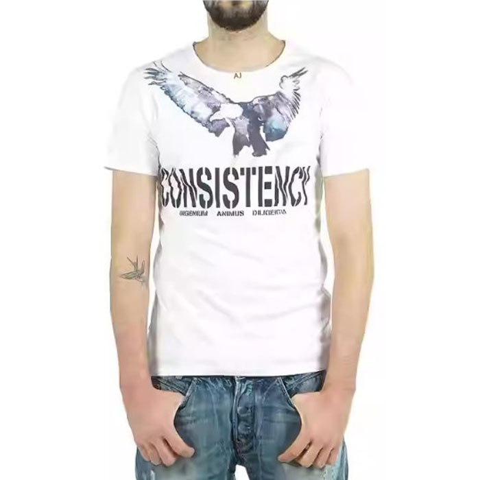 アルマーニ ジーンズ ARMANI JEANS メンズT シャツ V6H73LV 10