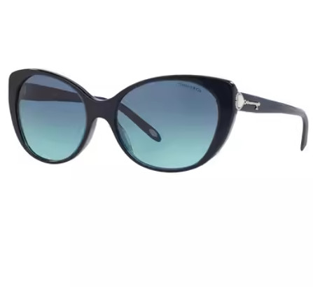 ティファニー TIFFANY レディース サングラス 0TF4099H 81919S